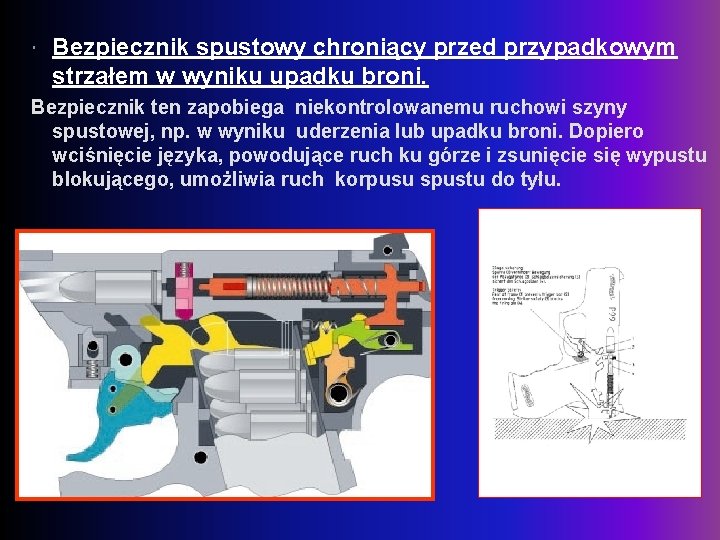  Bezpiecznik spustowy chroniący przed przypadkowym strzałem w wyniku upadku broni. Bezpiecznik ten zapobiega