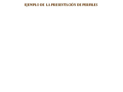 EJEMPLO DE LA PRESENTACIÓN DE PERFILES 