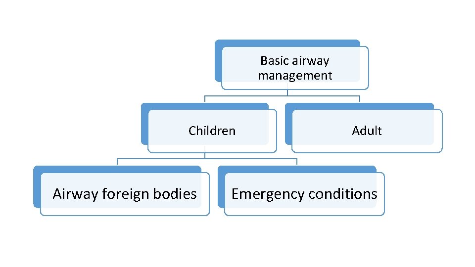 Basic airway management Children Airway foreign bodies Adult Emergency conditions 