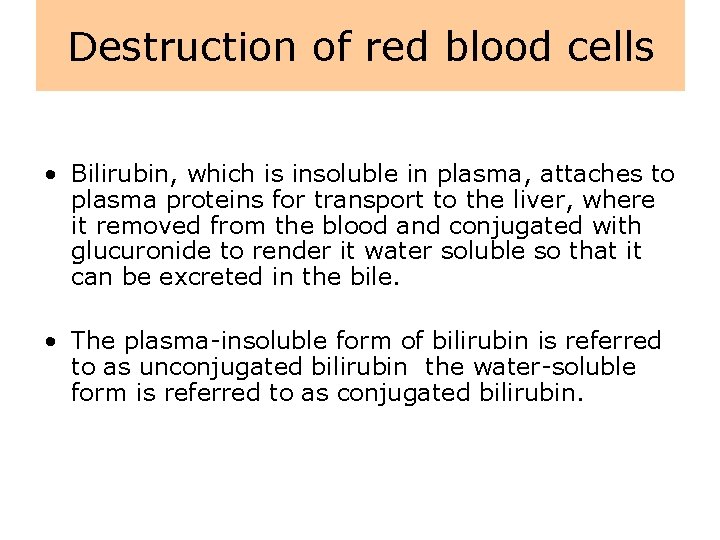 Destruction of red blood cells • Bilirubin, which is insoluble in plasma, attaches to