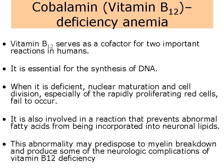 Cobalamin (Vitamin B 12)– deficiency anemia • Vitamin B 12 serves as a cofactor