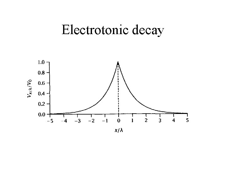 Electrotonic decay 