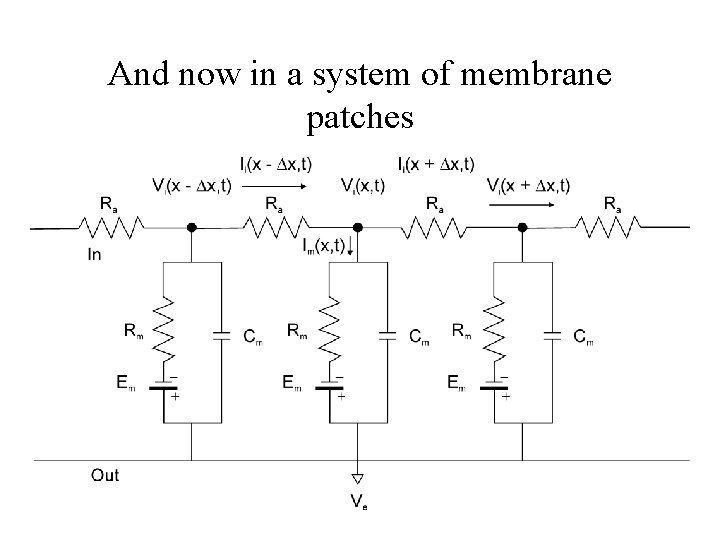 And now in a system of membrane patches 