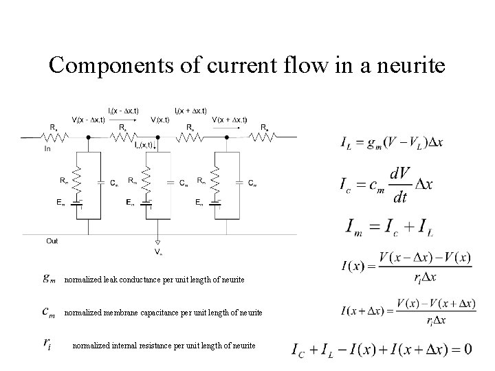 Components of current flow in a neurite normalized leak conductance per unit length of