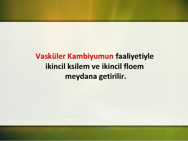 Vasküler Kambiyumun faaliyetiyle ikincil ksilem ve ikincil floem meydana getirilir. 