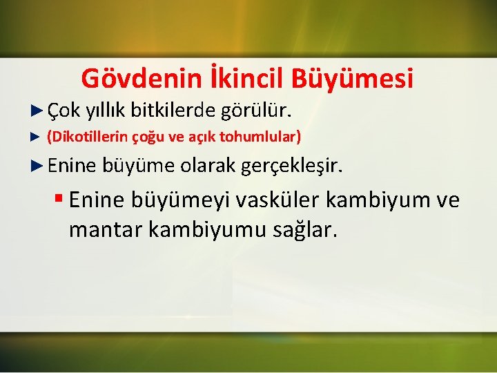 Gövdenin İkincil Büyümesi ► Çok yıllık bitkilerde görülür. ► (Dikotillerin çoğu ve açık tohumlular)