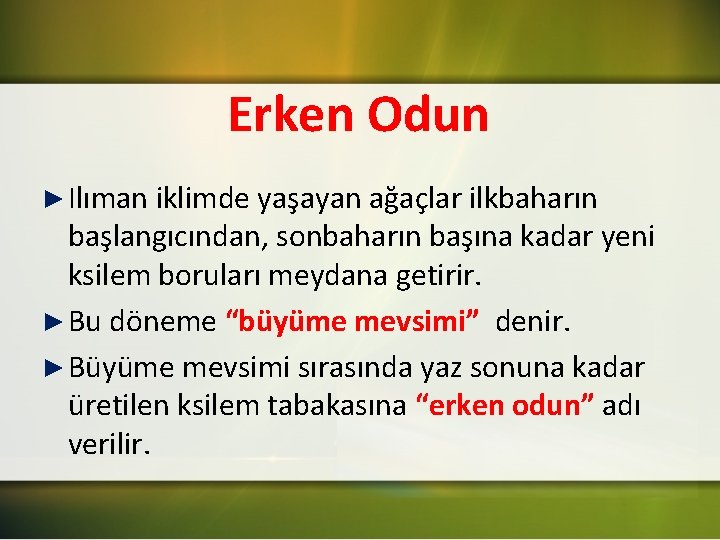 Erken Odun ► Ilıman iklimde yaşayan ağaçlar ilkbaharın başlangıcından, sonbaharın başına kadar yeni ksilem