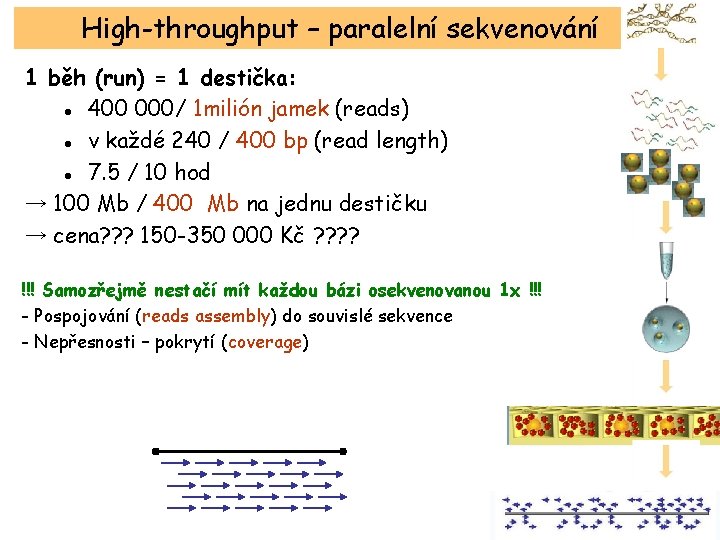 High-throughput – paralelní sekvenování 1 běh (run) = 1 destička: ● 400 000/ 1