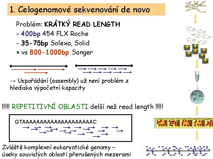1. Celogenomové sekvenování de novo Problém: KRÁTKÝ READ LENGTH - 400 bp 454 FLX