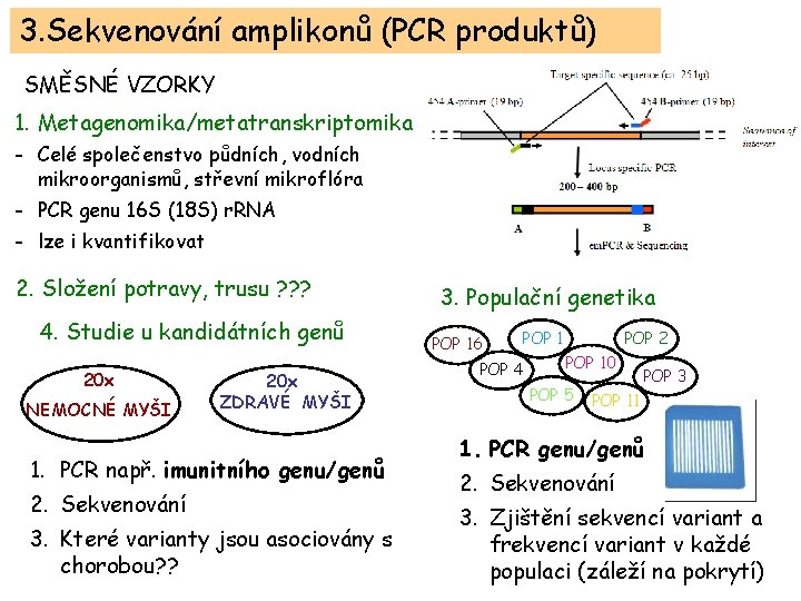 3. Sekvenování amplikonů (PCR produktů) SMĚSNÉ VZORKY 1. Metagenomika/metatranskriptomika - Celé společenstvo půdních, vodních