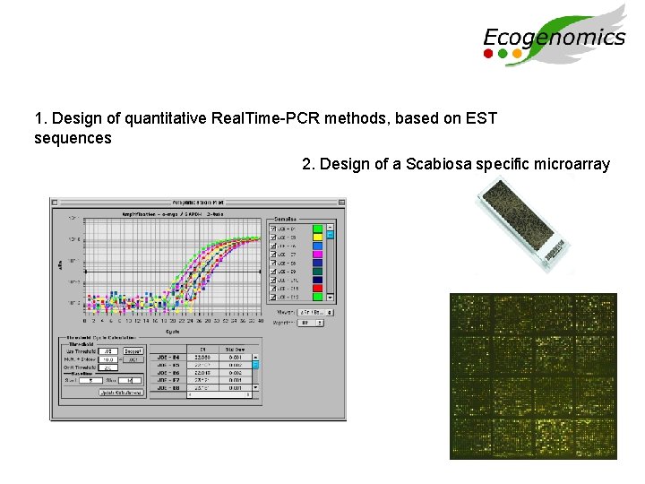 1. Design of quantitative Real. Time-PCR methods, based on EST sequences 2. Design of