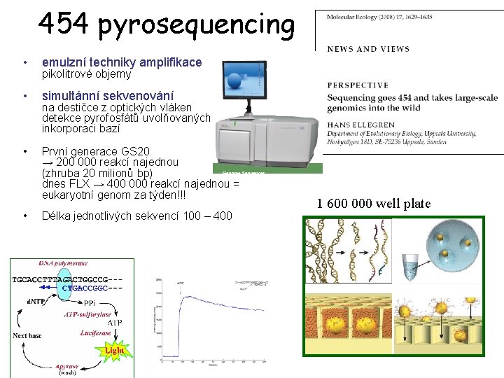 454 pyrosequencing • emulzní techniky amplifikace • simultánní sekvenování • První generace GS 20