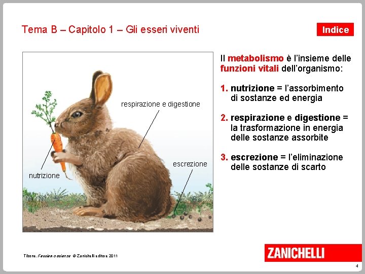 Tema B – Capitolo 1 – Gli esseri viventi Indice Il metabolismo è l’insieme