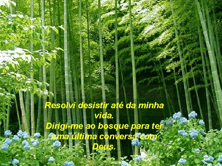 Resolvi desistir até da minha vida. Dirigi-me ao bosque para ter uma última conversa