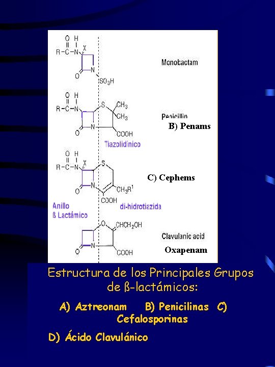 A) B) Penams C) Cephems D) Oxapenam Estructura de los Principales Grupos de ß-lactámicos: