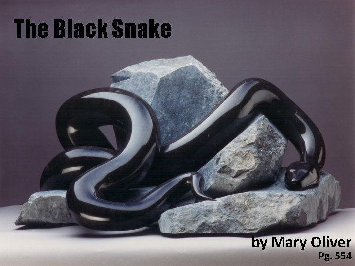 The Black Snake by Mary Oliver Pg. 554 