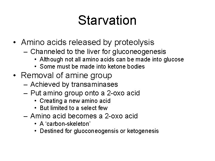 Starvation • Amino acids released by proteolysis – Channeled to the liver for gluconeogenesis