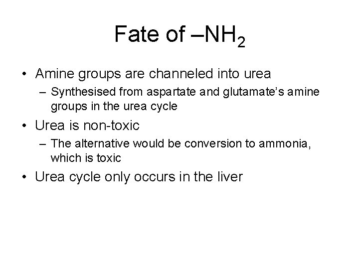 Fate of –NH 2 • Amine groups are channeled into urea – Synthesised from