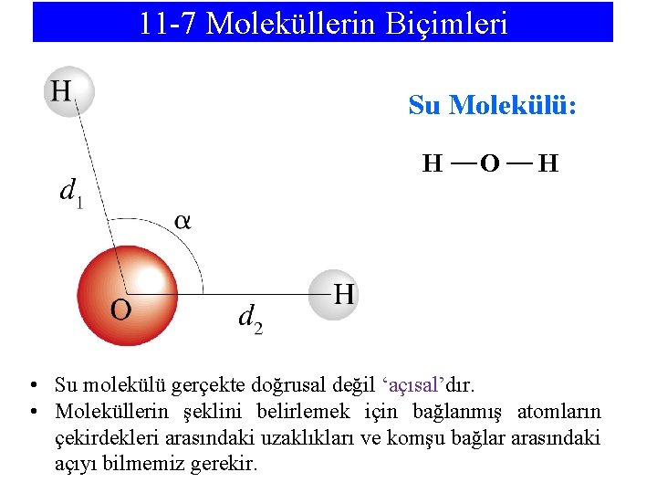 11 -7 Moleküllerin Biçimleri Su Molekülü: H O H • Su molekülü gerçekte doğrusal