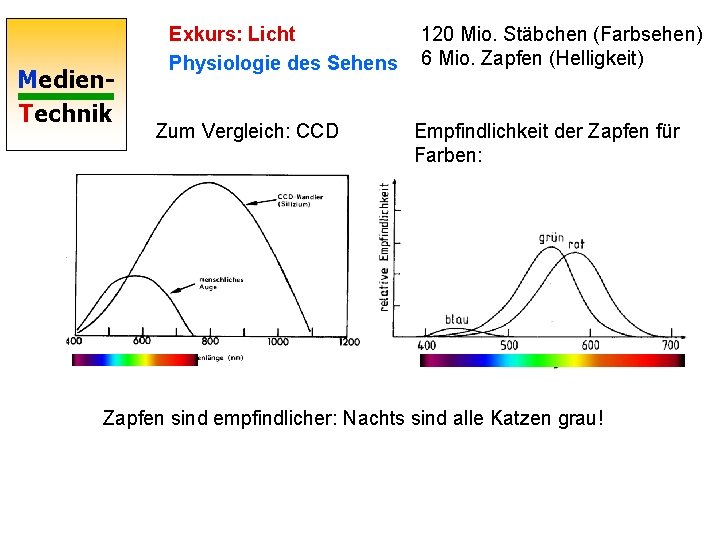 Medien. Technik Exkurs: Licht Physiologie des Sehens Zum Vergleich: CCD 120 Mio. Stäbchen (Farbsehen)