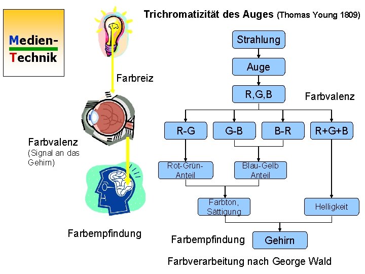 Trichromatizität des Auges (Thomas Young 1809) Medien. Technik Strahlung Auge Farbreiz R, G, B