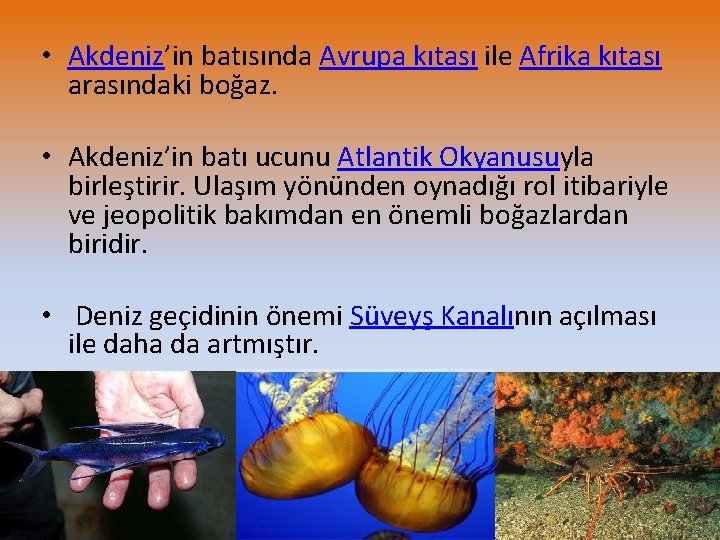  • Akdeniz’in batısında Avrupa kıtası ile Afrika kıtası arasındaki boğaz. • Akdeniz’in batı