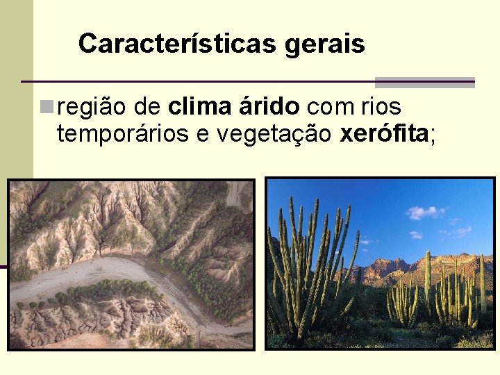 Características gerais n região de clima árido com rios temporários e vegetação xerófita; 