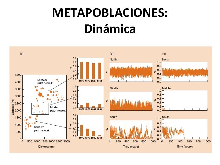 METAPOBLACIONES: Dinámica 