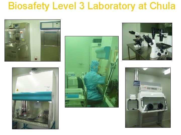 Biosafety Level 3 Laboratory at Chula 