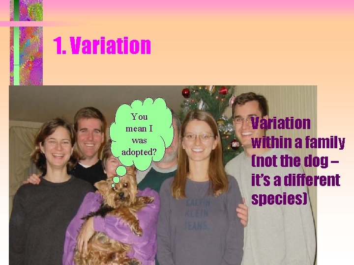 1. Variation You mean I was adopted? Variation within a family (not the dog