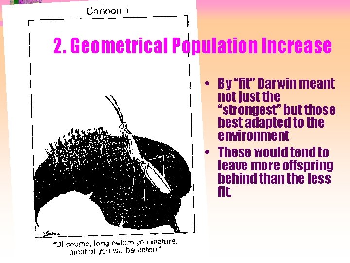 2. Geometrical Population Increase • By “fit” Darwin meant not just the “strongest” but
