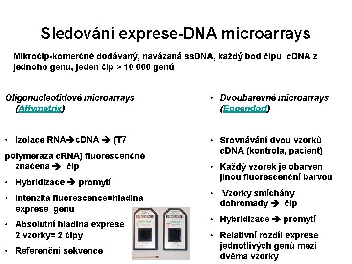 Sledování exprese-DNA microarrays Mikročip-komerčně dodávaný, navázaná ss. DNA, každý bod čipu c. DNA z
