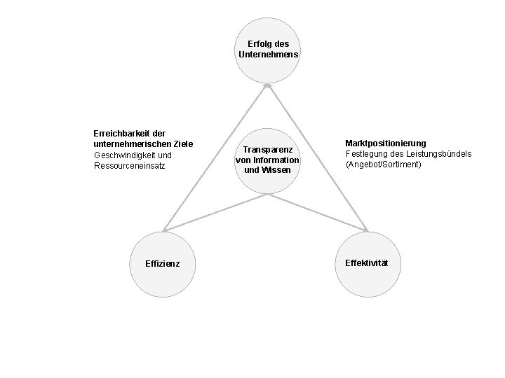 Erfolg des Unternehmens Erreichbarkeit der unternehmerischen Ziele Geschwindigkeit und Ressourceneinsatz Effizienz Transparenz von Information