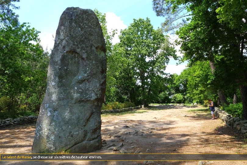 Le Géant du Manio, se dresse sur six mètres de hauteur environ. 