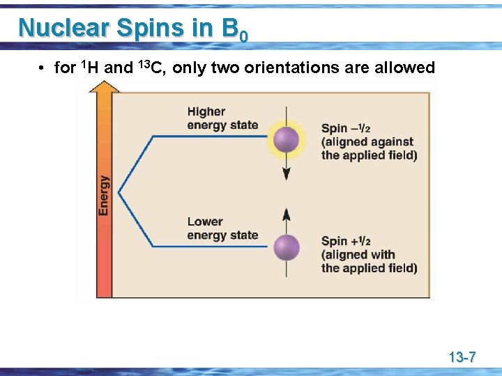 Nuclear Spins in B 0 • for 1 H and 13 C, only two