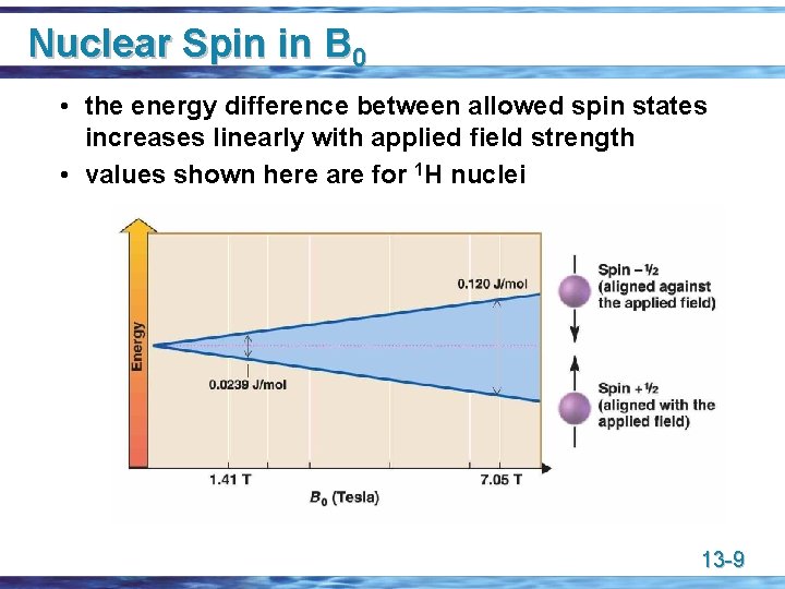 Nuclear Spin in B 0 • the energy difference between allowed spin states increases