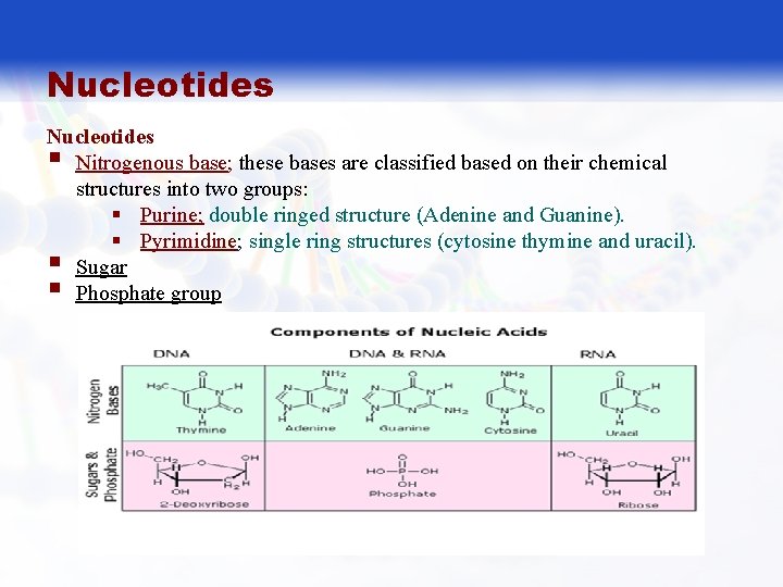 Nucleotides § Nitrogenous base; these bases are classified based on their chemical structures into