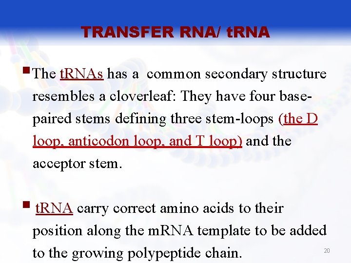 TRANSFER RNA/ t. RNA §The t. RNAs has a common secondary structure resembles a