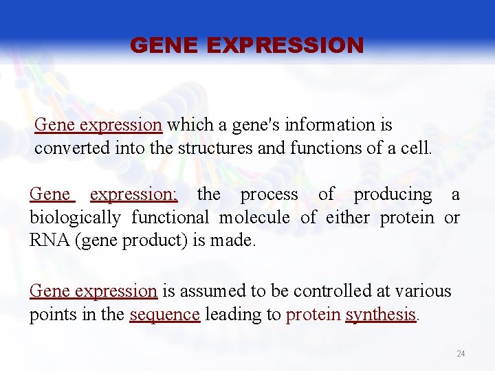 GENE EXPRESSION Gene expression which a gene's information is converted into the structures and