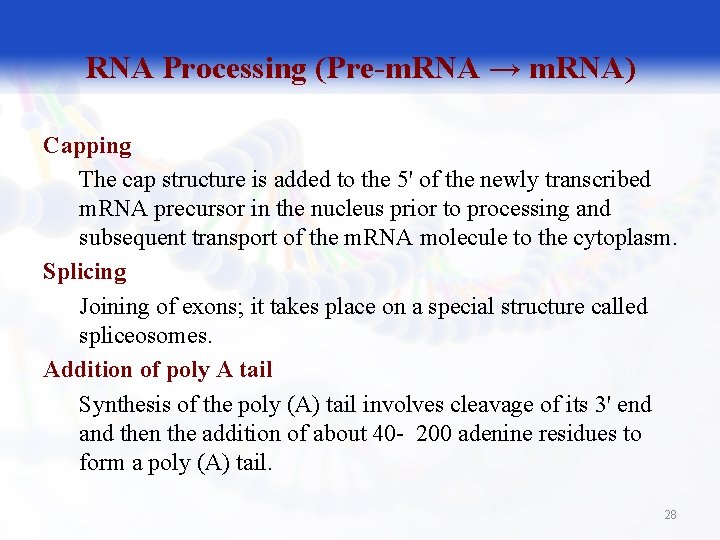 RNA Processing (Pre-m. RNA → m. RNA) Capping The cap structure is added to