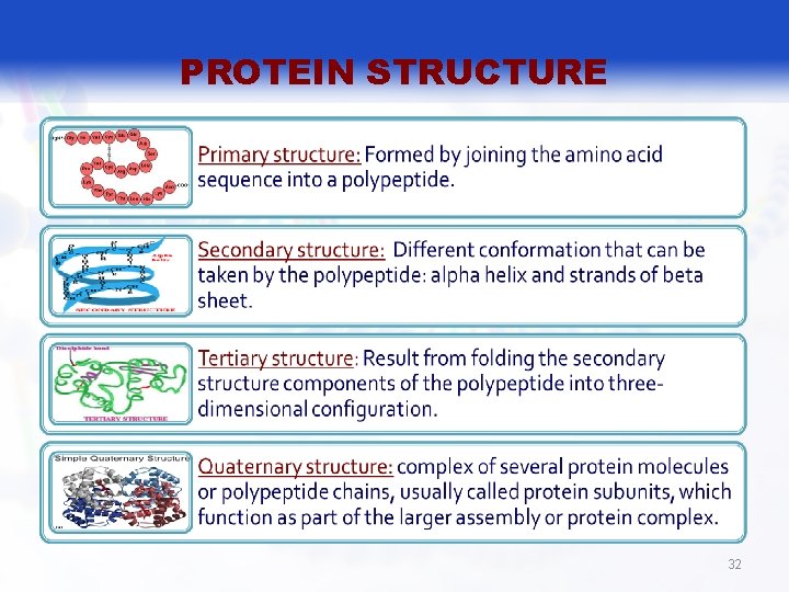 PROTEIN STRUCTURE 32 