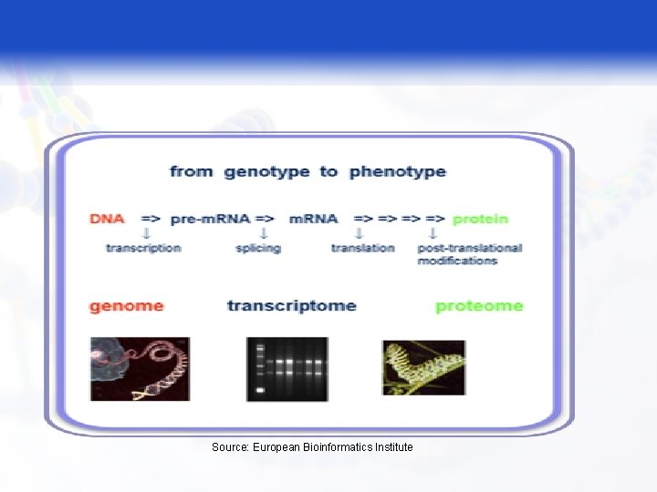 Source: European Bioinformatics Institute 