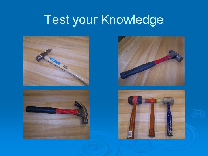 Test your Knowledge 