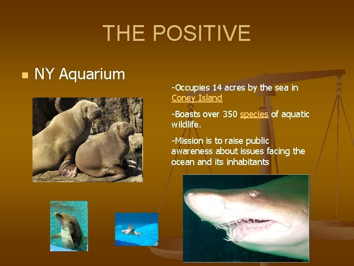 THE POSITIVE n NY Aquarium -Occupies 14 acres by the sea in Coney Island