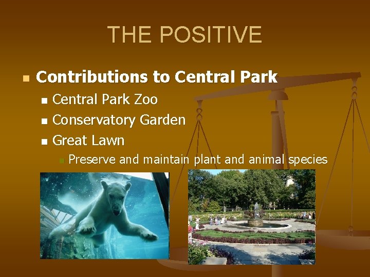 THE POSITIVE n Contributions to Central Park Zoo n Conservatory Garden n Great Lawn