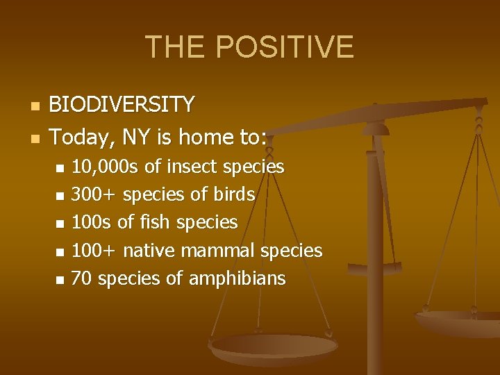 THE POSITIVE n n BIODIVERSITY Today, NY is home to: 10, 000 s of