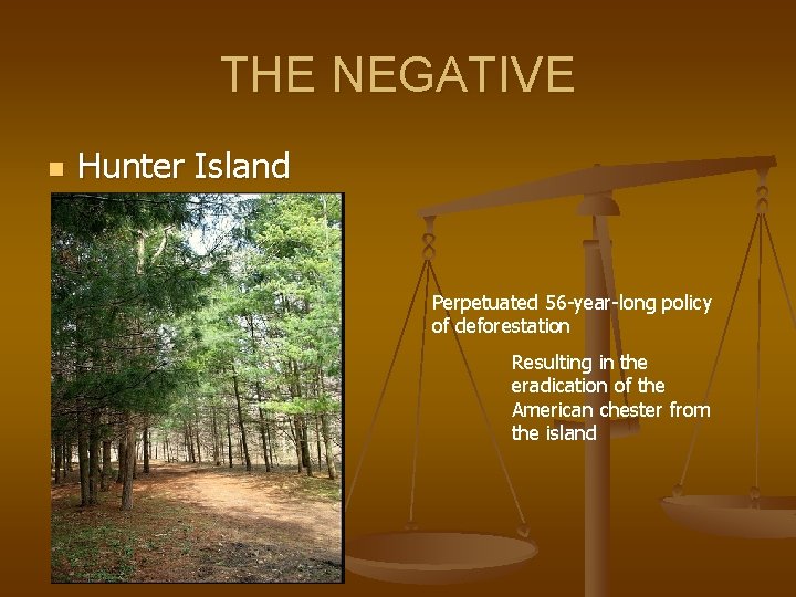 THE NEGATIVE n Hunter Island Perpetuated 56 -year-long policy of deforestation Resulting in the
