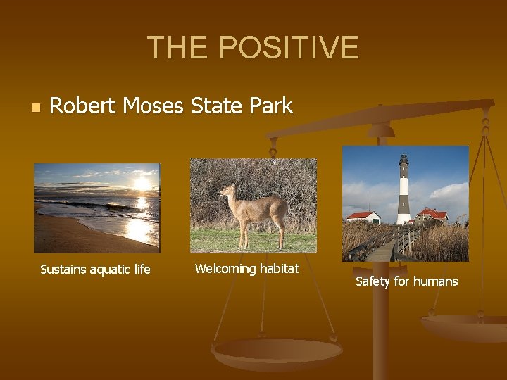 THE POSITIVE n Robert Moses State Park Sustains aquatic life Welcoming habitat Safety for
