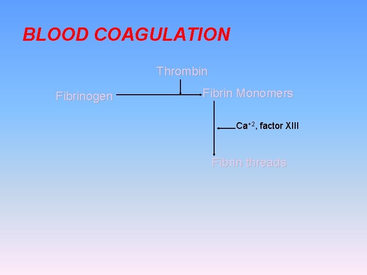 BLOOD COAGULATION Thrombin Fibrinogen Fibrin Monomers Ca+2, factor XIII Fibrin threads 