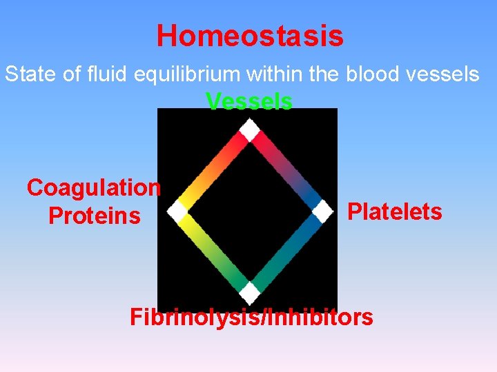 Homeostasis State of fluid equilibrium within the blood vessels Vessels Coagulation Proteins Platelets Fibrinolysis/Inhibitors